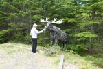 PICTURES/St. Martin and Fundy Parkway/t_Moose Sculpture4.JPG